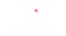 The Jenny Albert Sea Turtle Foundation